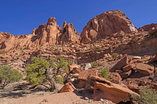 Deep in a Desert Canyon — Stock Photo, Image