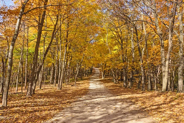 Colorido camino rural en el otoño —  Fotos de Stock