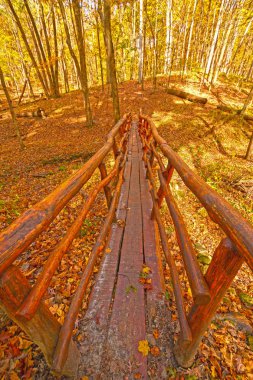 El ayak köprü sonbahar ormanın içinde hazırlanmış