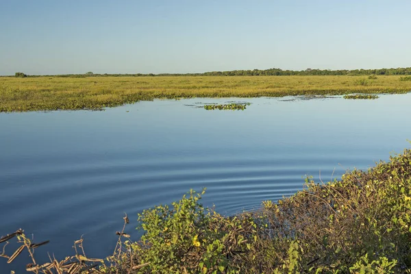 Lagoa calma na estação úmida no Pantanal — Fotografia de Stock