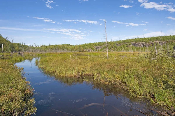 Sendero en canoa a través de un pantano — Foto de Stock