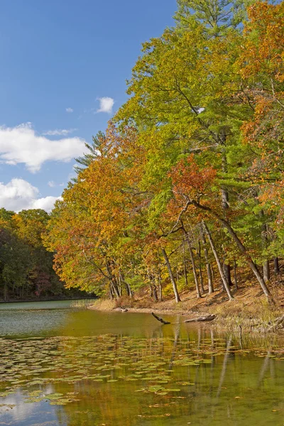 Aguas tranquilas a principios del otoño —  Fotos de Stock