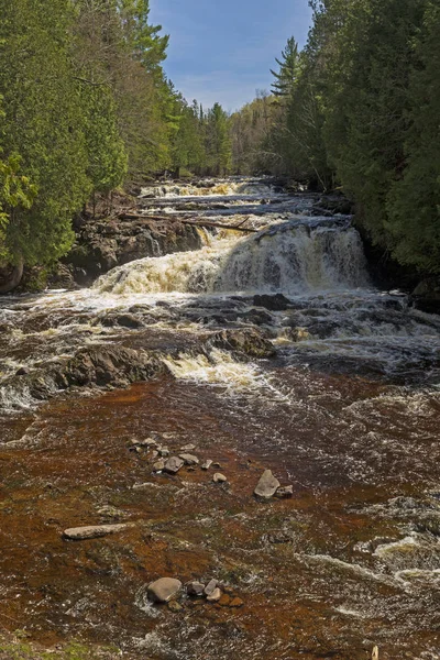 Corrente torrente taglio pensiero la foresta in primavera — Foto Stock