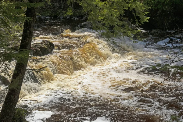 Águas de inundação de primavera que atravessam um córrego florestal — Fotografia de Stock