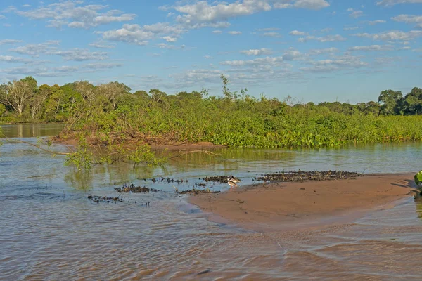 Panorama pantaneiro das zonas húmidas — Fotografia de Stock