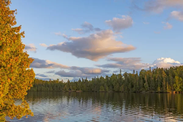 Kolory wieczorne i chmury w północnych lasach — Zdjęcie stockowe