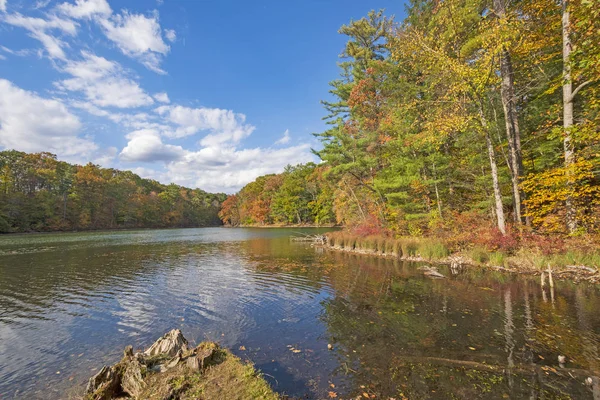 Árboles coloridos en un día de otoño tranquilo — Foto de Stock