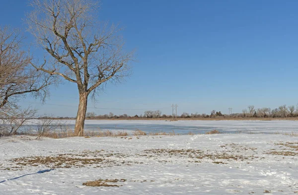 Solitario mattino d'inverno sulle Grandi Pianure — Foto Stock