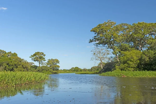 Fluxo lento em movimento nas zonas húmidas do Pantanal — Fotografia de Stock