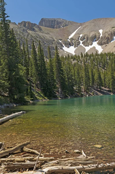 Альпийское озеро в солнечный летний день — стоковое фото