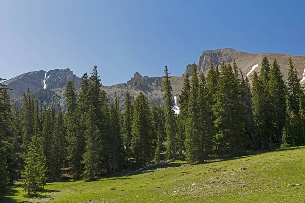 Montanhas dramáticas que olham sobre um prado alpino — Fotografia de Stock