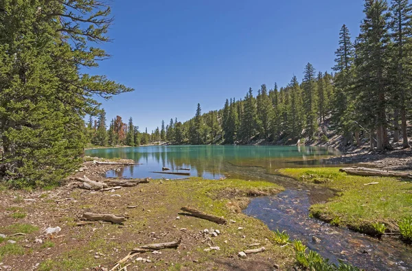 Tichý potok vyprazdňuje do alpského jezera — Stock fotografie