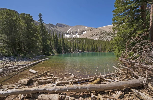 Vista serena di un lago di montagna in estate — Foto Stock