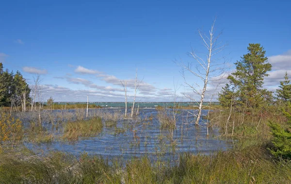 High Water Lagoon on the Shores of Lake Huron — Stock Photo, Image