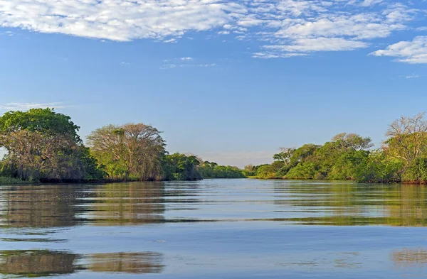 Sera Luce nel Pantanale — Foto Stock