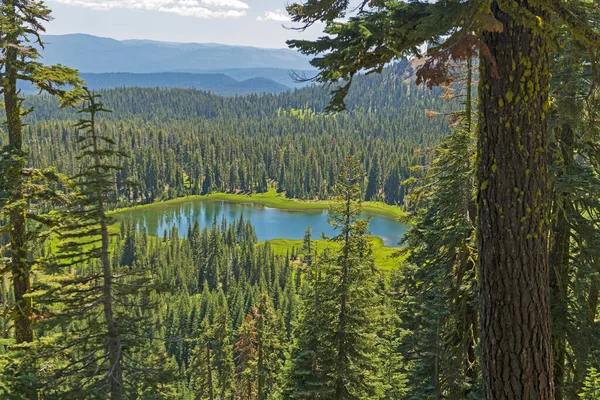Alpské jezero objevující se mezi stromy — Stock fotografie