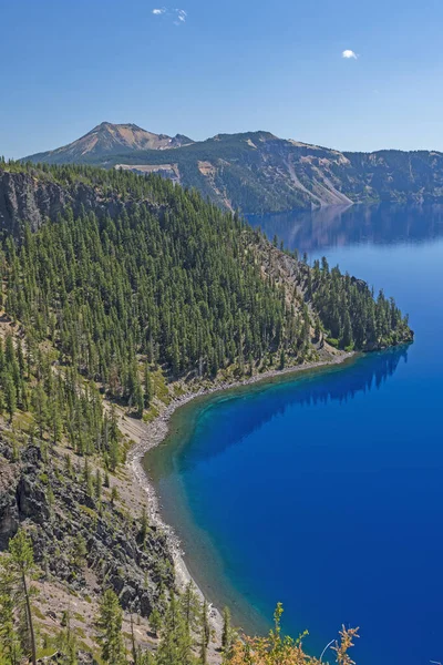 Skogsåsar Längs Alpin Sjö Crater Lake National Park Oregon — Stockfoto