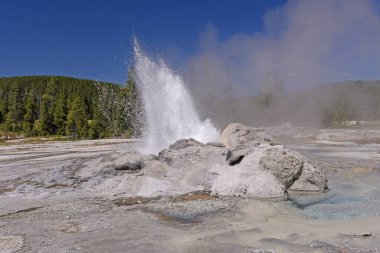 Wyoming 'deki Yellowstone Ulusal Parkı' ndaki Shoshone Termal Havzası 'nda Minute Man Gayzerinden Sıcak Su ve Buhar.