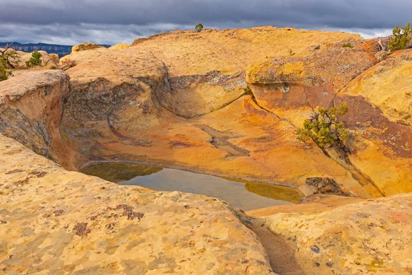 Pot Hole Stagno Una Dorsale Arenaria Malpais Monumento Nazionale Nel — Foto Stock