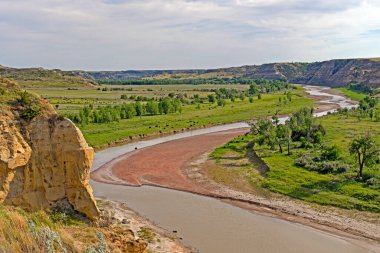 Western River Bend ve Bison Kuzey Dakota 'daki Theodore Roosevelt Ulusal Parkı' ndaki Little Missouri Nehri 'nin ovasında.