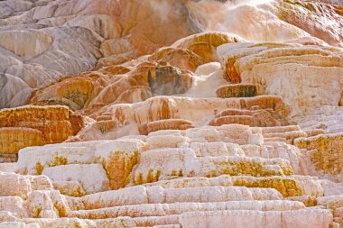 Sıcak su Wyoming 'deki Yellowstone Ulusal Parkı' ndaki Mammoth Kaplıcaları 'nda kireçtaşı Teraslarından akıyor.
