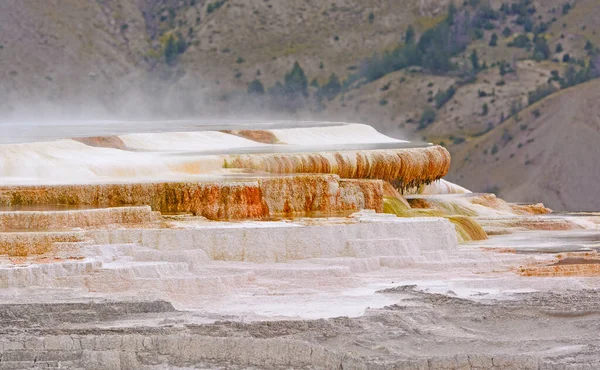 怀俄明州黄石公园猛犸象温泉的石灰石台下升起的蒸汽 — 图库照片