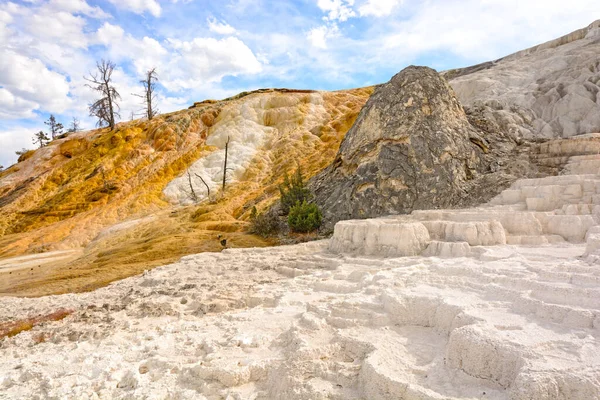 怀俄明州黄石国家公园猛犸象泉石灰岩台的彩色沉积 — 图库照片
