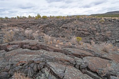 New Mexico 'daki El Malpais Ulusal Anıtı' ndaki Lav Tarlasında Kırık Pahoehoe Kayaları