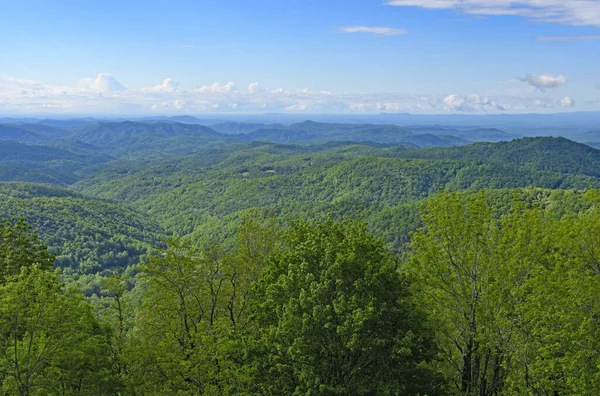 Blue Ridge Mountain Panorama Egy Napos Európai Tavasz Észak Karolinában — Stock Fotó