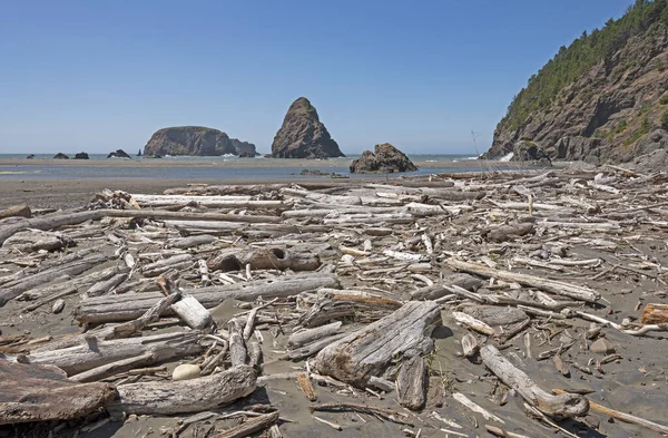 Treibholz Und Seestapel Einem Abgelegenen Wal Kopfstrand Oregon — Stockfoto