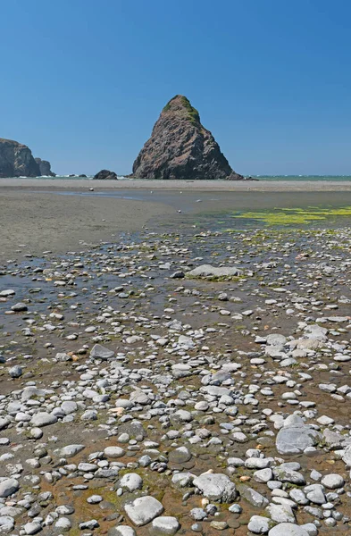 Colorful Pebbles Remote Whales Head Beach Oregon Coast — Stock Photo, Image