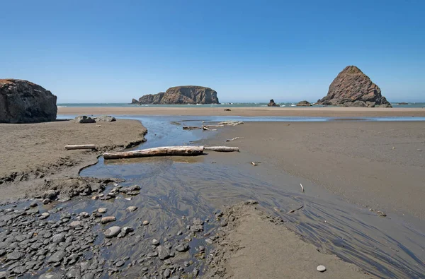 Pobřežní Potok Vedoucí Zálivu Ocean Bay Pláži Velryby Pobřeží Oregonu — Stock fotografie