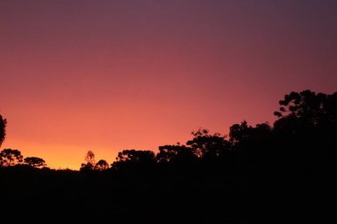 harika mor günbatımı ağaçlarla