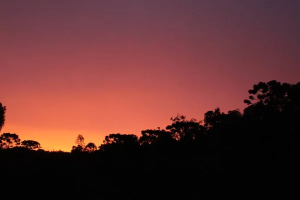 harika mor günbatımı ağaçlarla