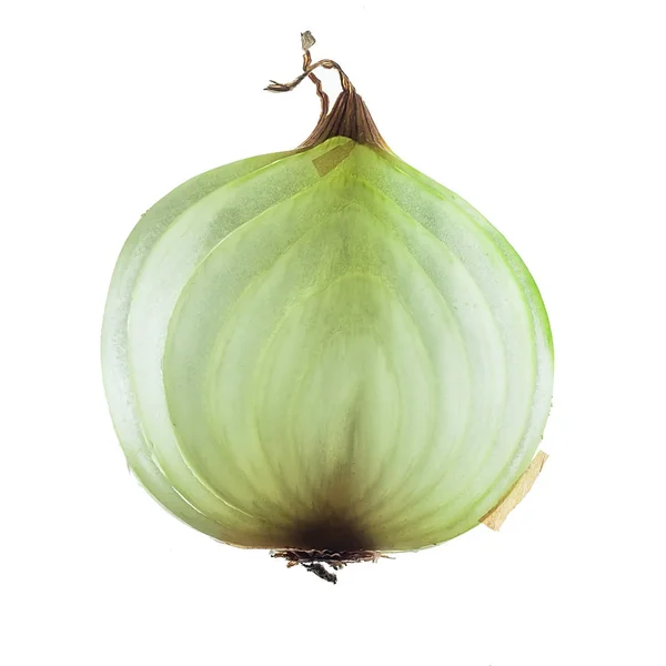 Vegetable bulb onions in a cutaway — Stock Photo, Image