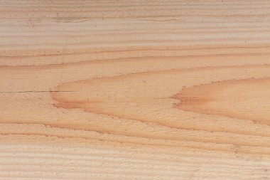 Bir ağaç dokusuna yakın çekim