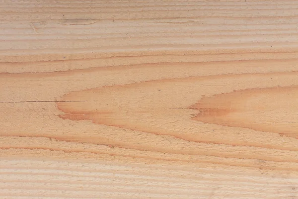 Bir ağaç dokusuna yakın çekim