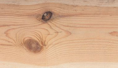 Bir ağaç dokusuna yakın çekim