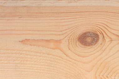 Bir ağaç dokusuna yakın çekim