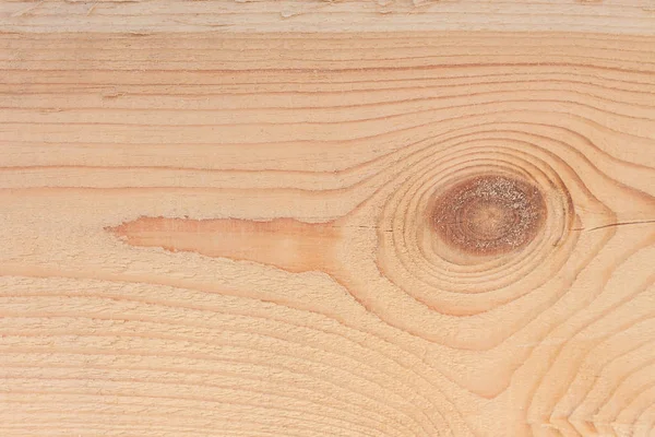 Bir ağaç dokusuna yakın çekim