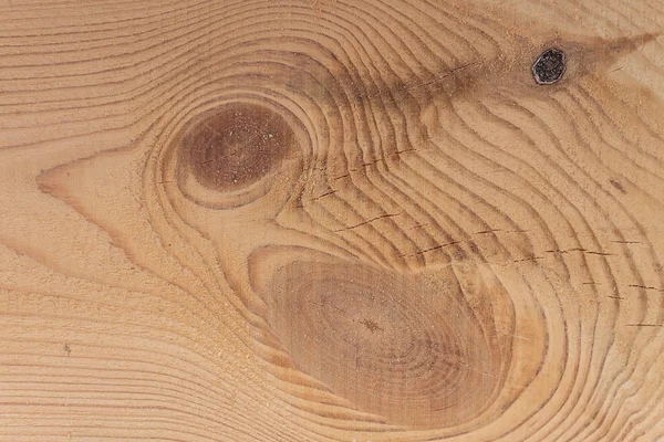 Bir ağaç dokusuna yakın çekim