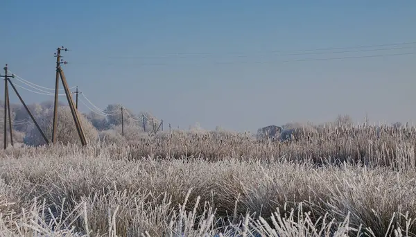 Güzel karlı kış manzarası