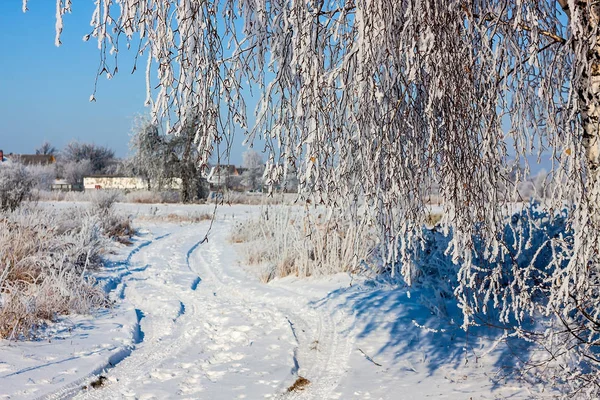 Güzel karlı kış manzarası