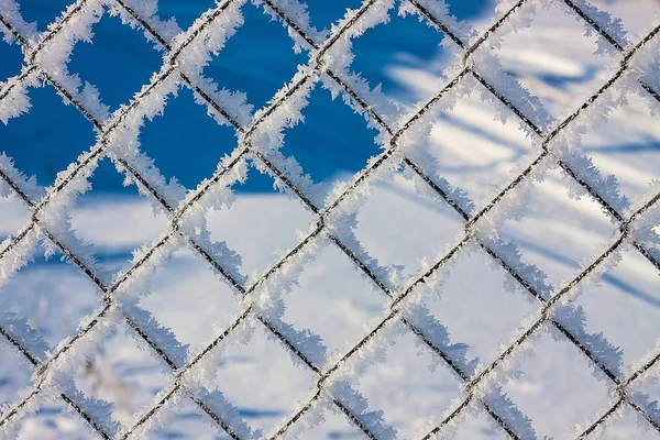 Metal mesh in the hoarfrost — Stock Photo, Image