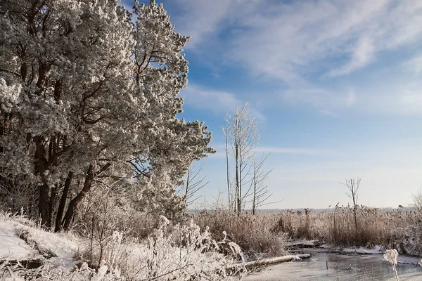 Güzel karlı kış manzarası