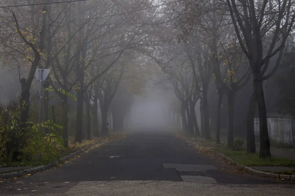 Sisli sabah Budapeşte