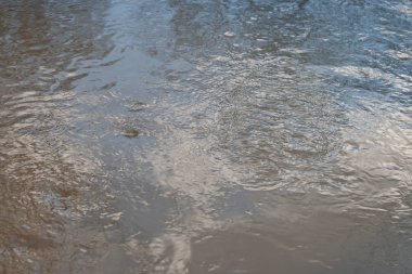 Mavi gökyüzünde bir dere ile çözülmüş su yansıması batımında ilkbaharda Nisan orman.