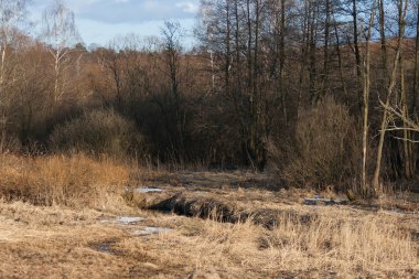 Gün batımında bahar orman akışında. Geçen yıl kurutulmuş çim üzerinde Nisan ayında kar kalıntıları