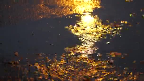 A powerful stream of water pours along the asphalt into the street at night. — Stock Video
