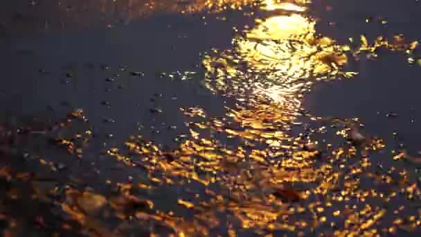 A powerful stream of water pours along the asphalt into the street at night. — Stock Video